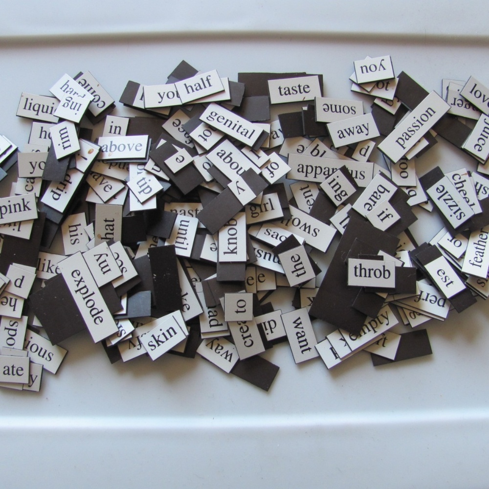 ADULT refrigerator magnets